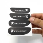 photo_2025-10-22_16-42-55