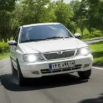 photo_2025-12-01_17-17-05