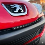 photo_2025-12-07_16-32-19