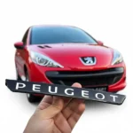 photo_2025-12-07_16-32-23