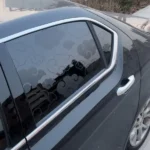 photo_2025-12-17_17-02-59